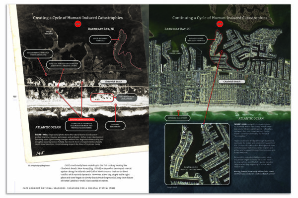 Cape Lookout National Seashore: Paradigm for a Coastal System Ethic - Image 6