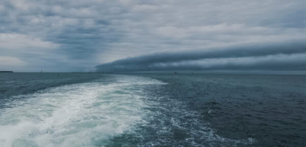 Cape Lookout National Seashore: Paradigm for a Coastal System Ethic - Image 9